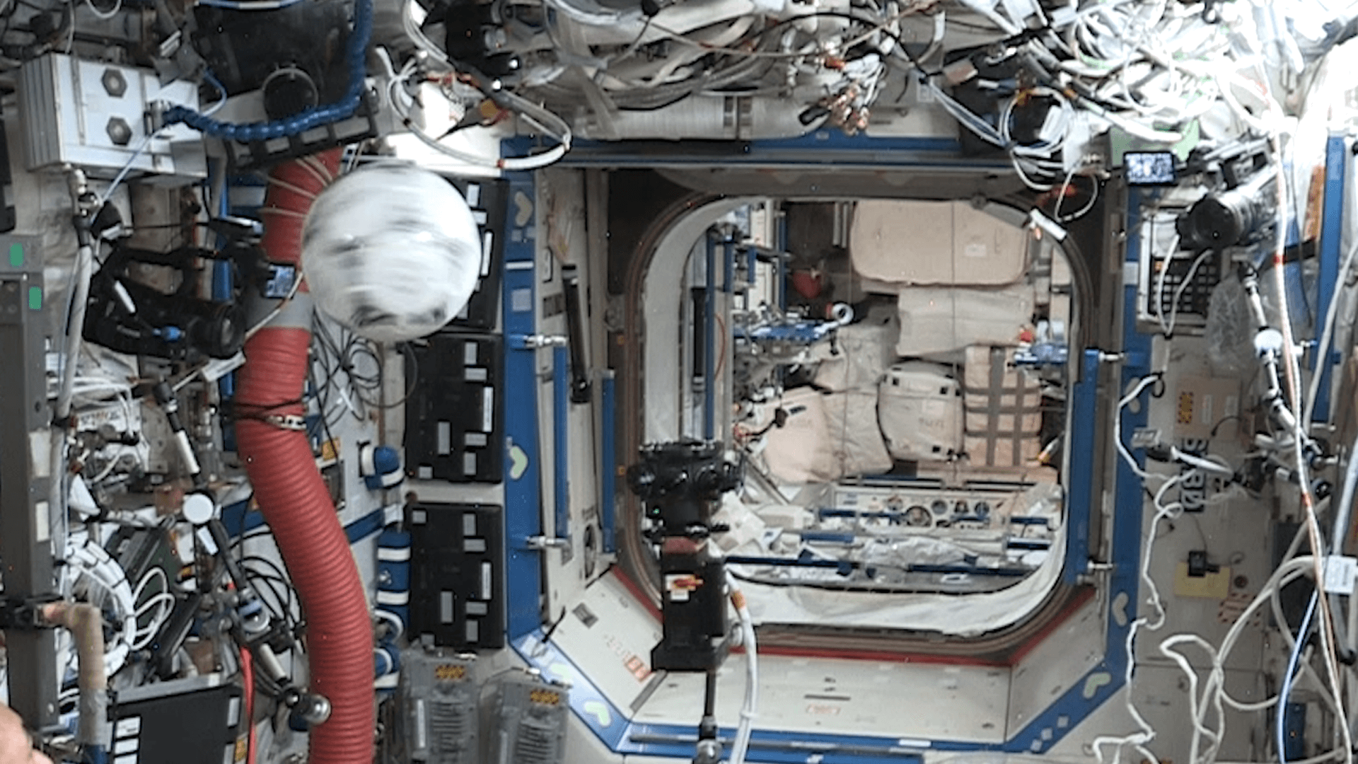 ADIDAS ANNOUNCES PARTNERSHIP TO EXPLORE THE BOUNDARIES OF INNOVATION - Cult Kits