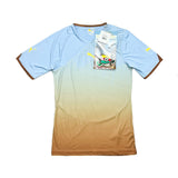 2010/11 AFRICA UNITY *BNWT* THIRD SHIRT (L) PUMA