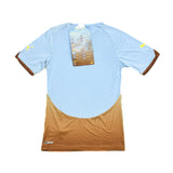 2010/11 AFRICA UNITY *BNWT* THIRD SHIRT (L) PUMA