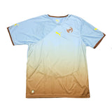 2010/11 AFRICA UNITY #10 THIRD SHIRT (L) PUMA