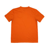 2014/15 NETHERLANDS HOME SHIRT (L) NIKE