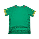 Buy 2014/16 Cameroon Home Shirt (L) Puma ~ Free worldwide shipping ~ Authentic Vintage Football Shirts from Cult Kits