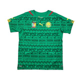Buy 2014/16 Cameroon Home Shirt (L) Puma ~ Free worldwide shipping ~ Authentic Vintage Football Shirts from Cult Kits