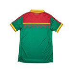 Buy 2016/17 Cameroon Home Shirt (S) Puma ~ Free worldwide shipping ~ Authentic Vintage Football Shirts from Cult Kits