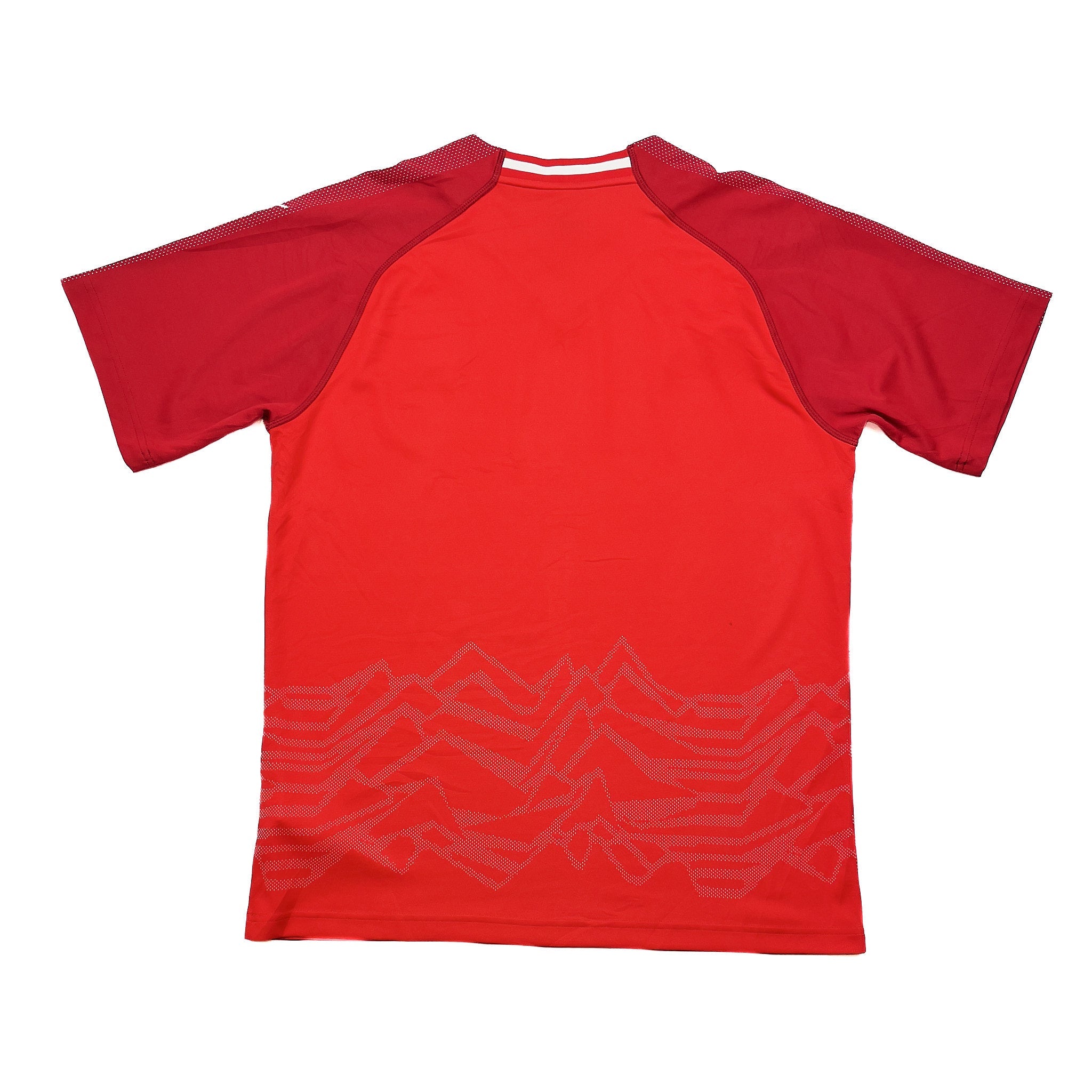 Buy 2018/19 Austria Home Shirt (L) Puma ~ Free worldwide shipping available ~ Authentic Vintage Football Shirts from Cult Kits