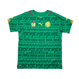 2014/16 Cameroon Home Shirt (L) Puma