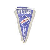 vintage-club-nacional-pennant